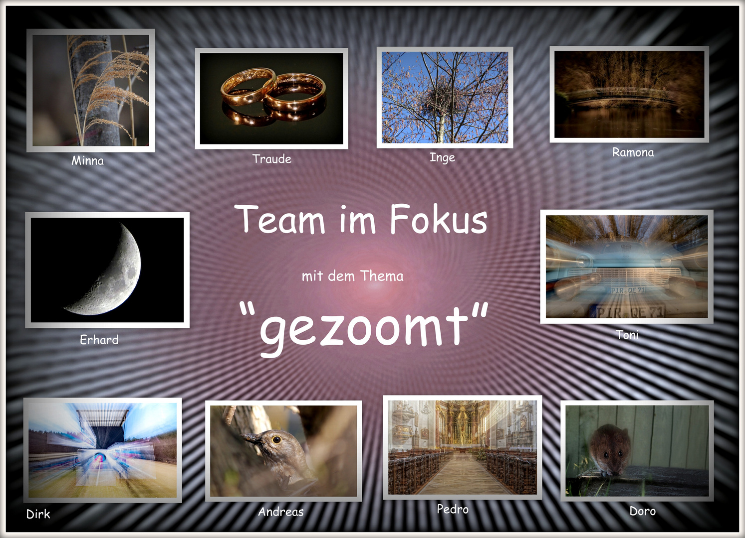 Collage vom Thema "gezoomt"