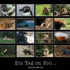 Collage vom Zoo Köln (XII)