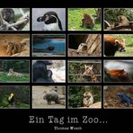 Collage vom Zoo Köln (XII)