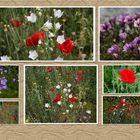 Collage von Blumen.
