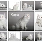 Collage von Kimba...