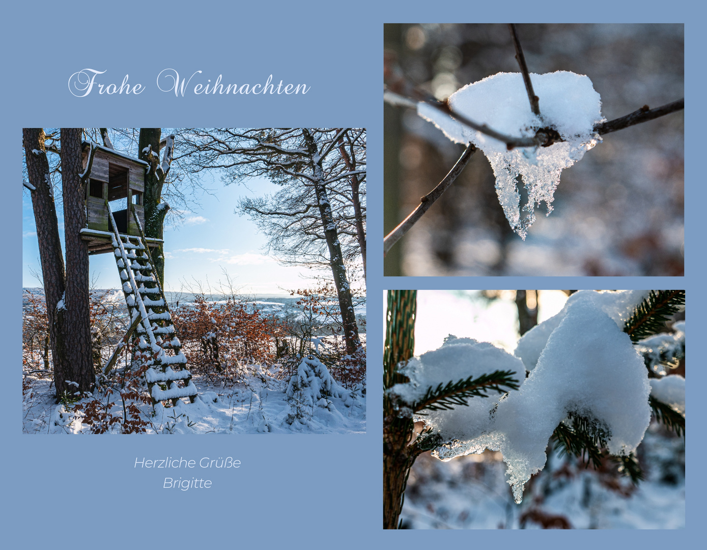 Collage_ Weihnachtsgrüße - Kopie