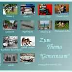 COLLAGE ZUM THEMA "GEMEINSAM"