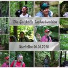 Collage1 Sasbachwalden