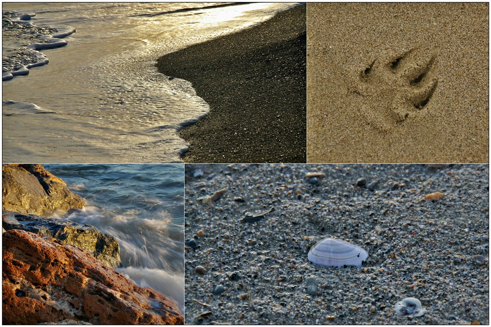 Collage#7: Sea Details