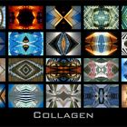 * Collagen *