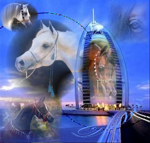 Collagenversuch *Big Five of Dubai*