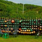 Collecting buoys