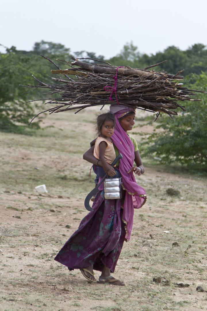 Collecting Firewood