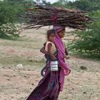 Collecting Firewood