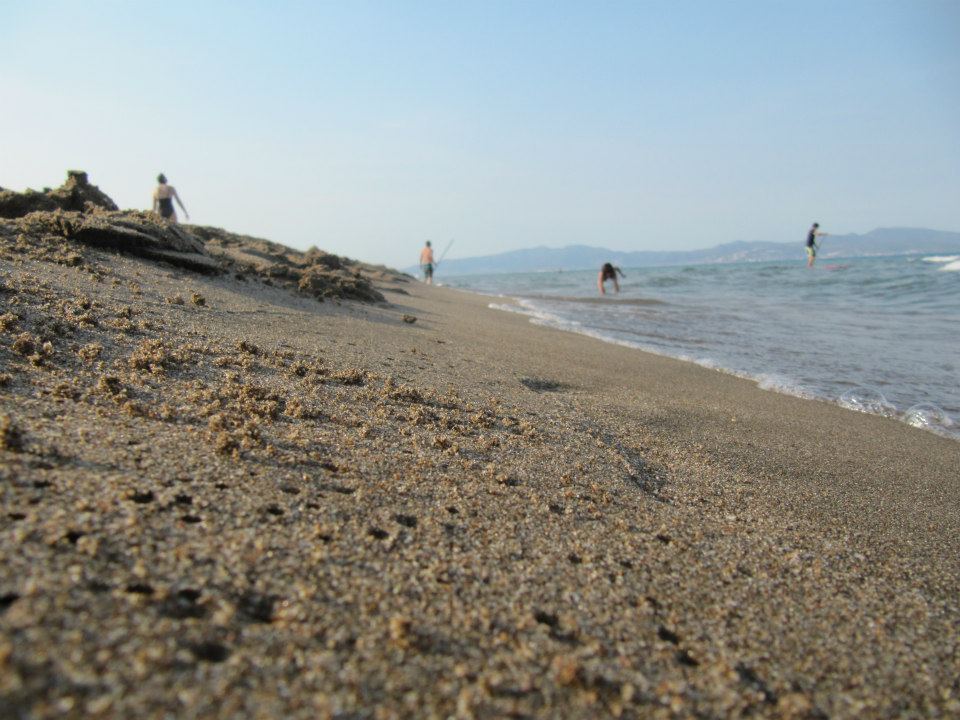 Collecting seashells