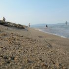 Collecting seashells