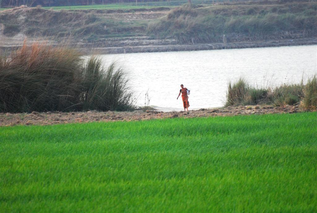 Collecting water from the river, daily life