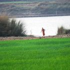 Collecting water from the river, daily life