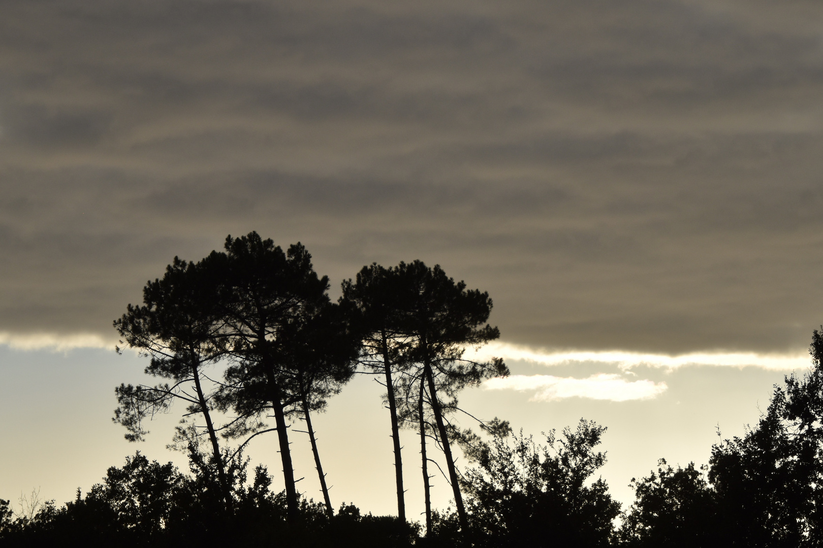 Collection : Ciel, Nuages, Lumières