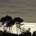 Collection : Ciel, Nuages, Lumières