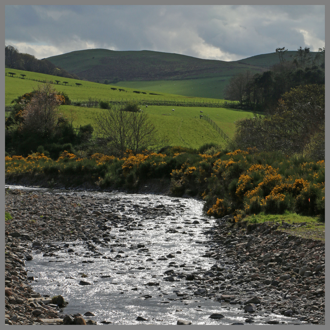 College Burn  near westnewton 2