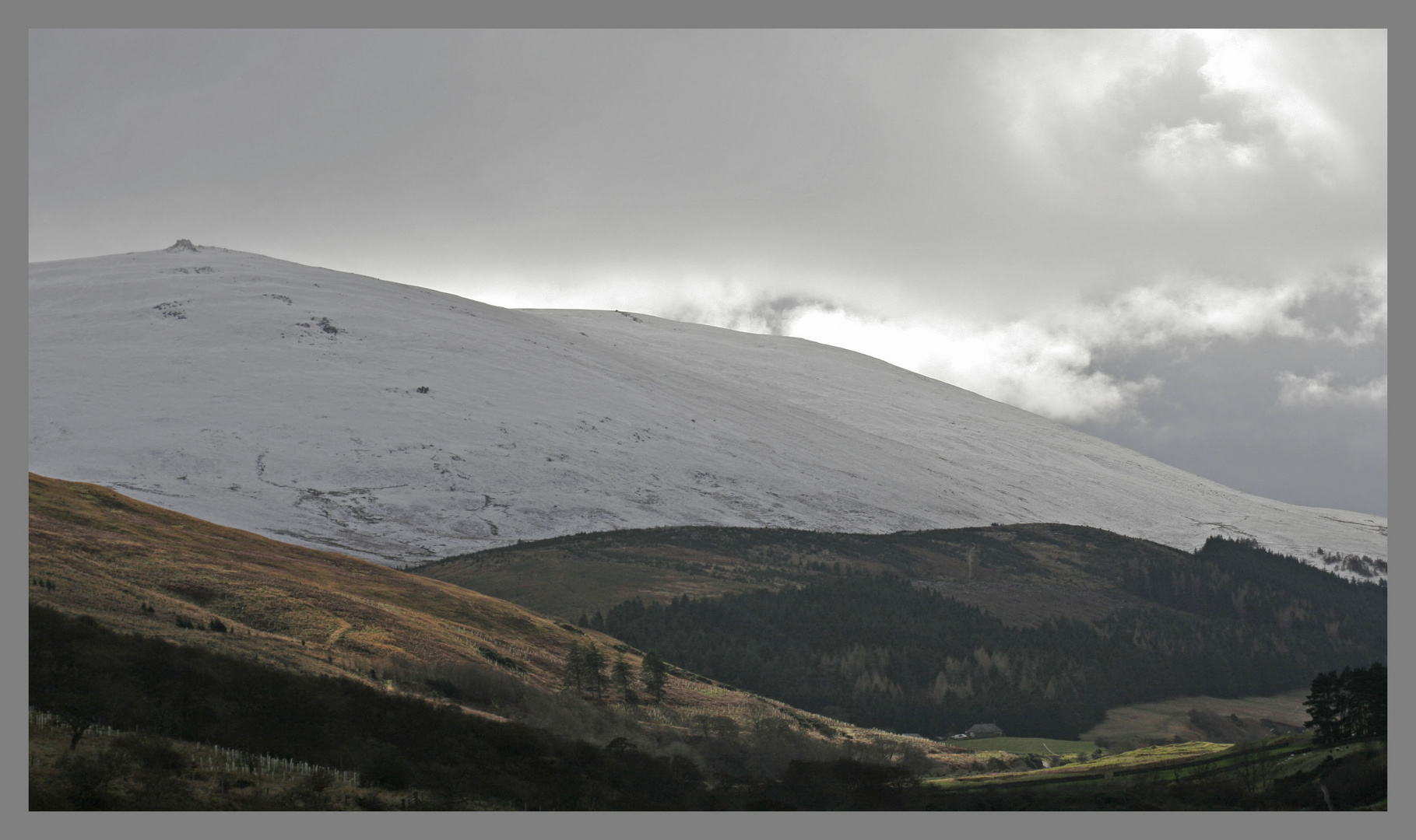 College valley and the Cheviot