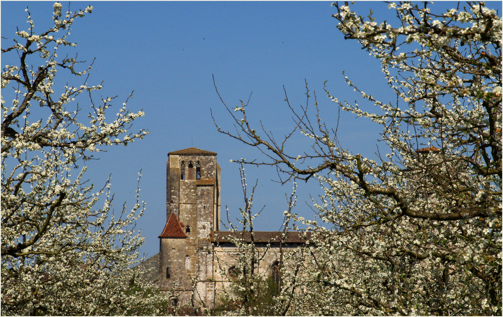 Collégiale et vergers de La Romieu