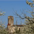 Collégiale et vergers de La Romieu