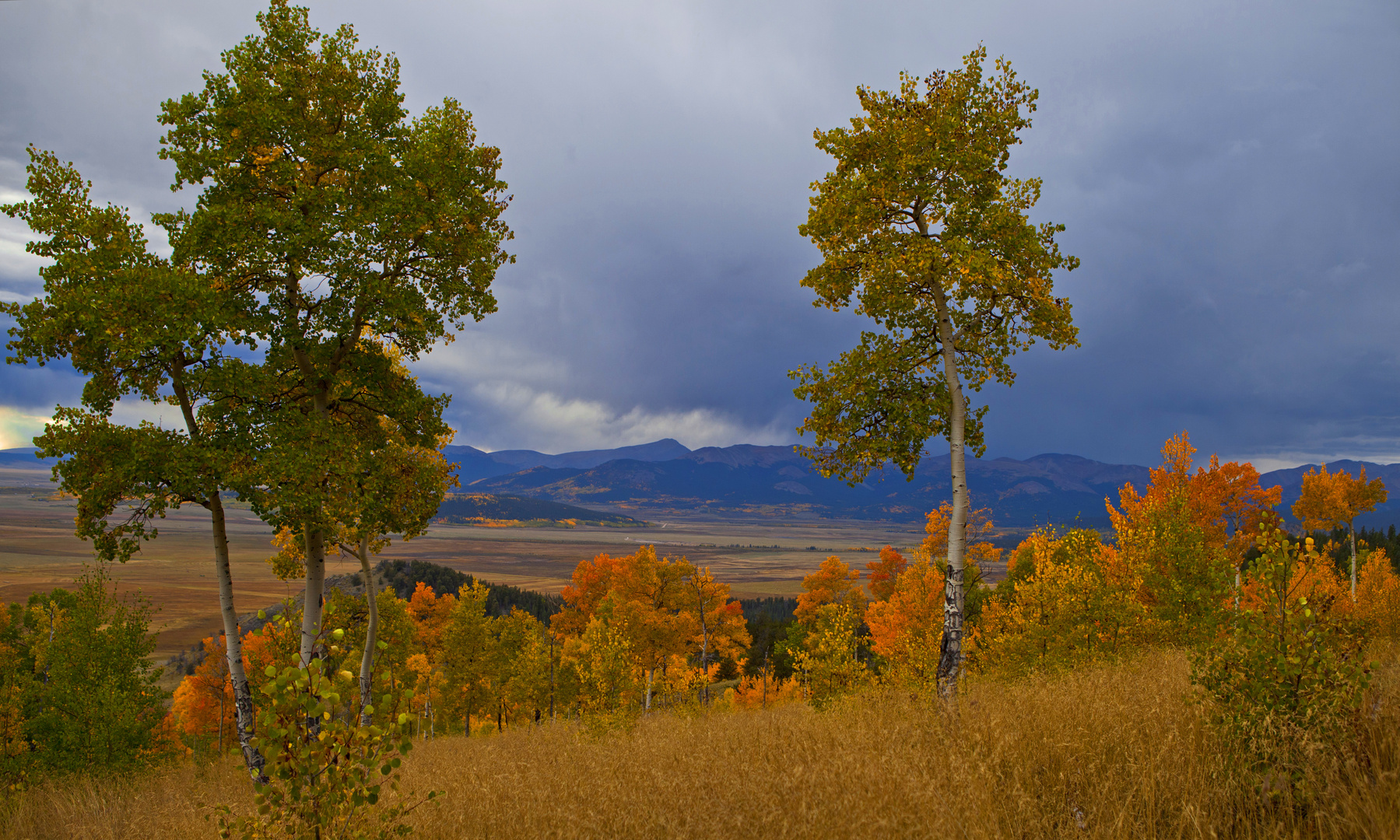 Collegiate Peaks Through South Park