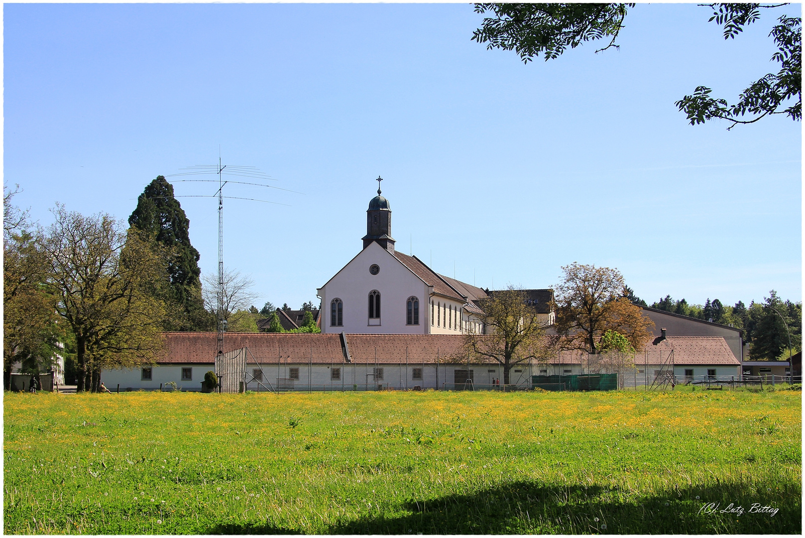 Collegium Bernardi