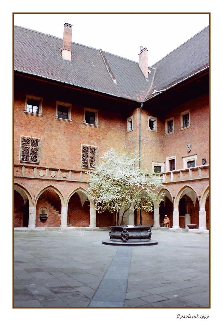 Collegium Maius 2