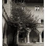 Collegium Maius