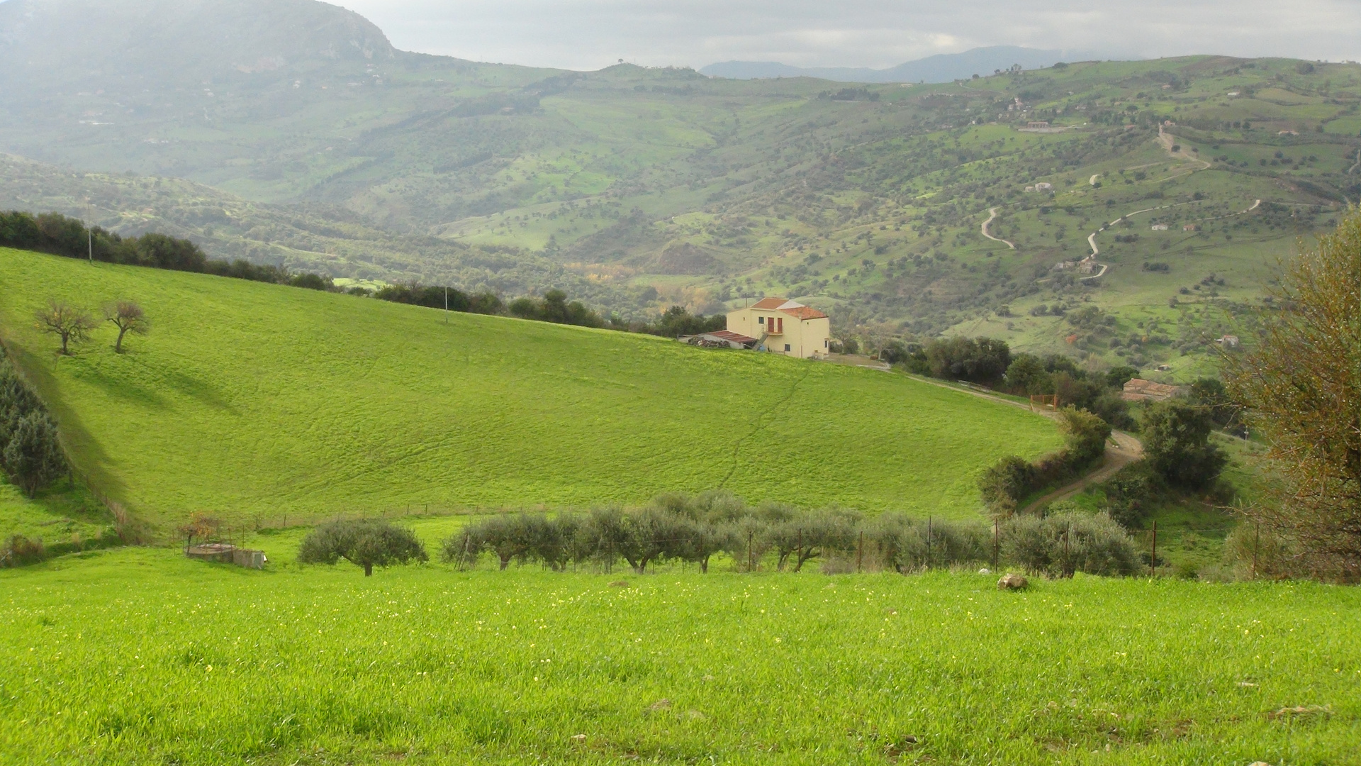 Collesano 22 dicembre 