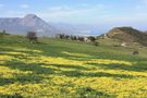 Collesano in Sicily with the sea in the bottom ... Collesano in Sicilia : 2 marzo... 2 ... von Christian Bertero 