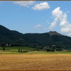 Colli di Maremma: Buriano.