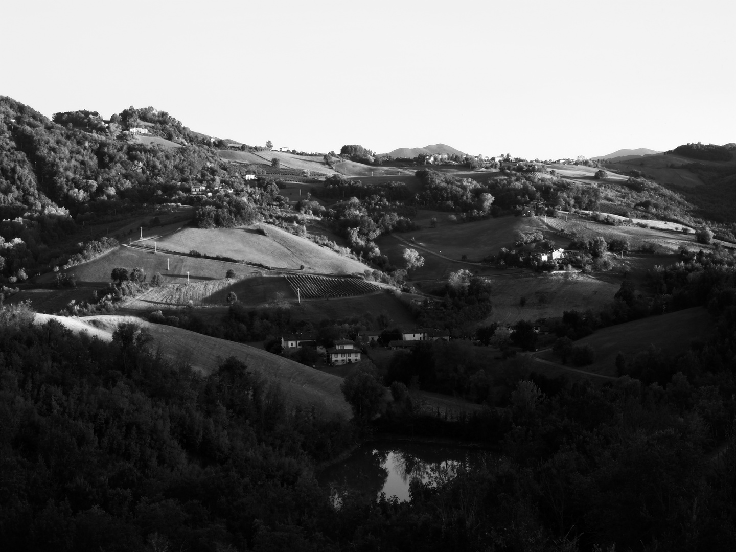 Colli Piacentini 09-24 1°