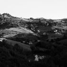 Colli Piacentini 09-24 1°
