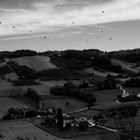 Colli Piacentini 09-24 2°