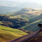 Colli senesi