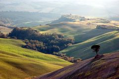 Colli senesi