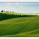 Colli senesi