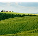 Colli senesi