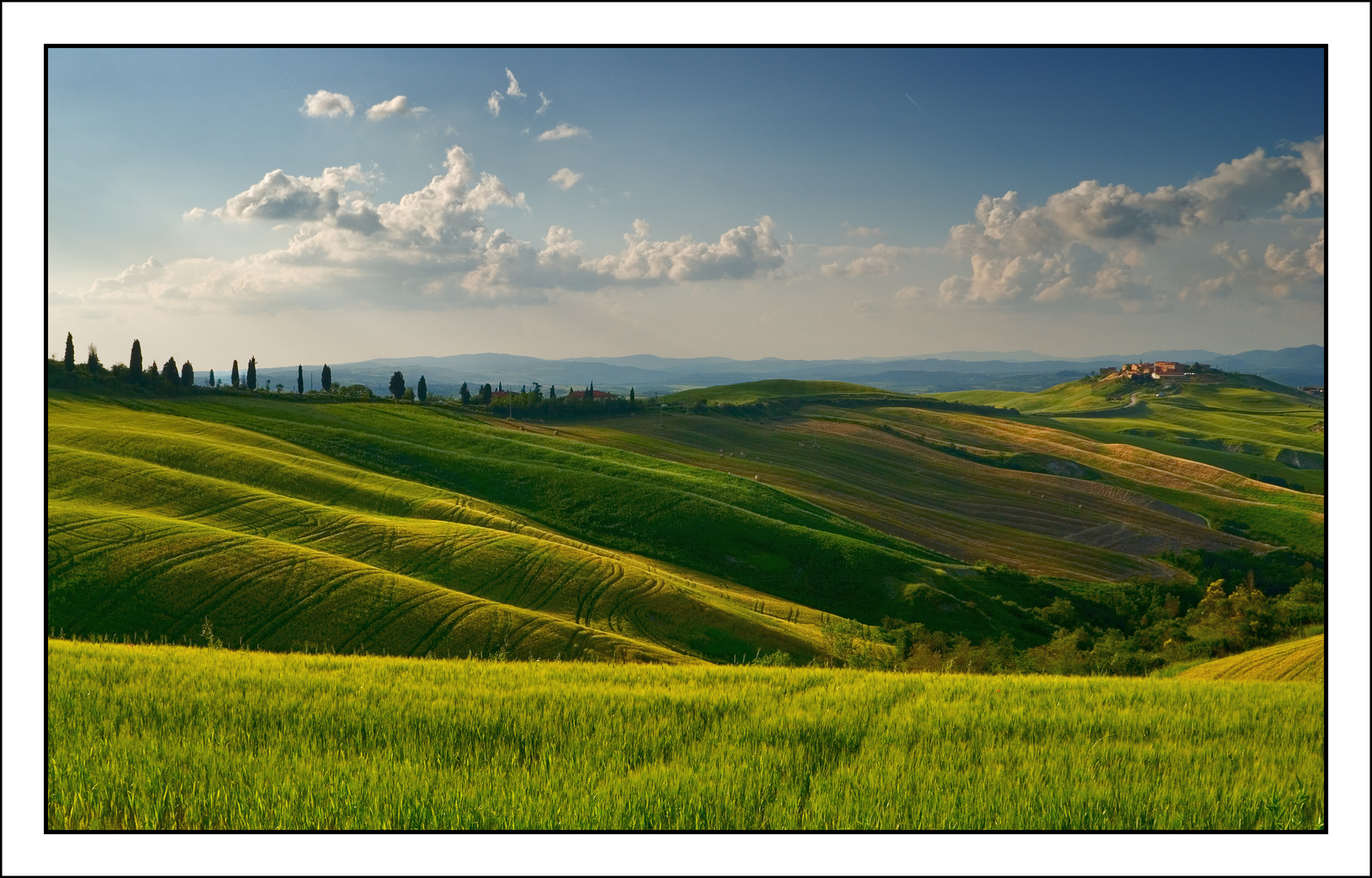 Colli senesi2