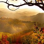 Colli tortonesi, colori del panorama, Sarezzano, Tortona, Alessandria, Piemonte, Italia 