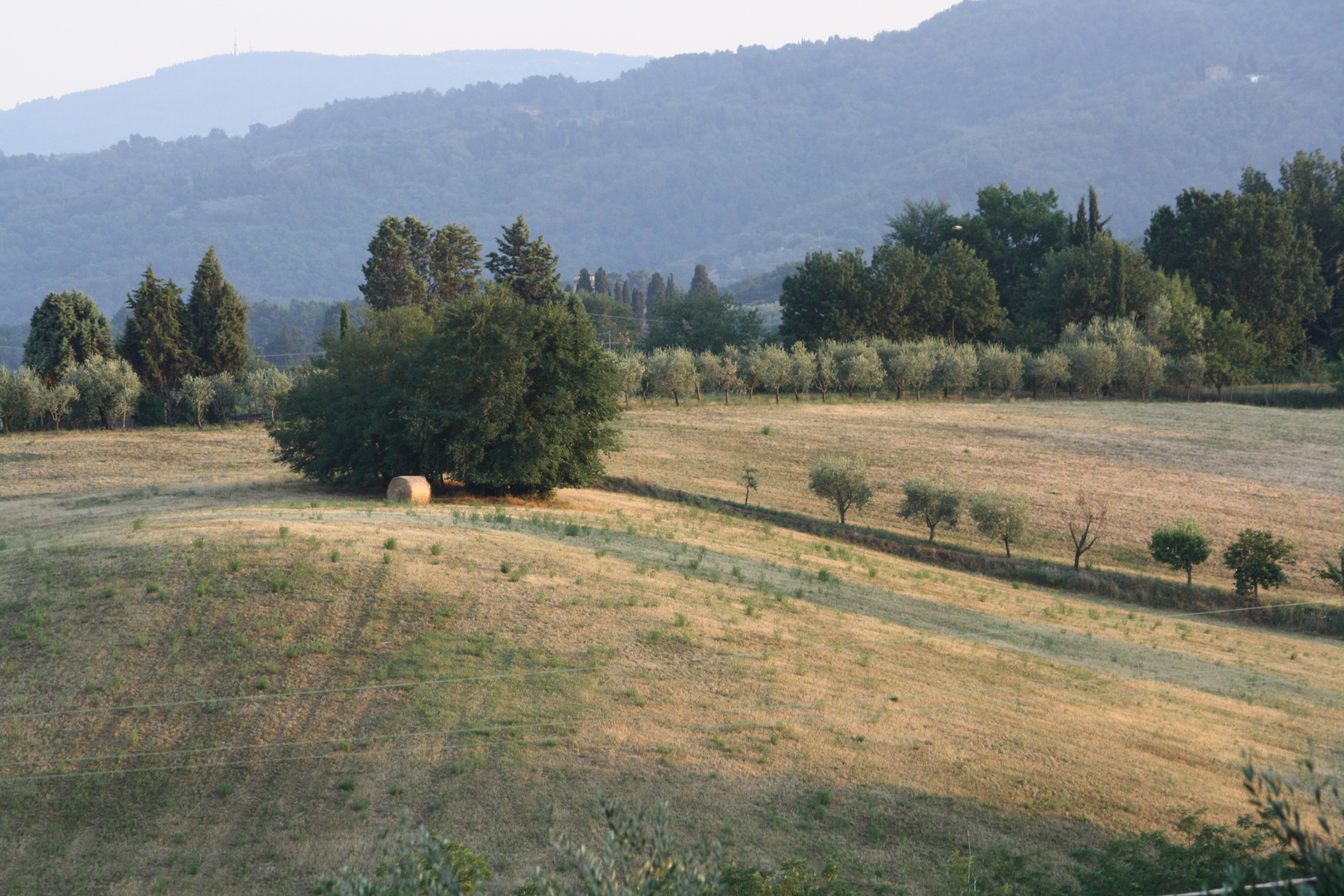 Colli toscani