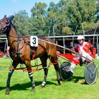 Collie Harness Racing Club