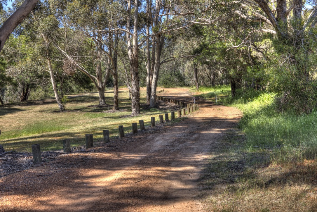 Collie River Walk