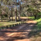 Collie River Walk