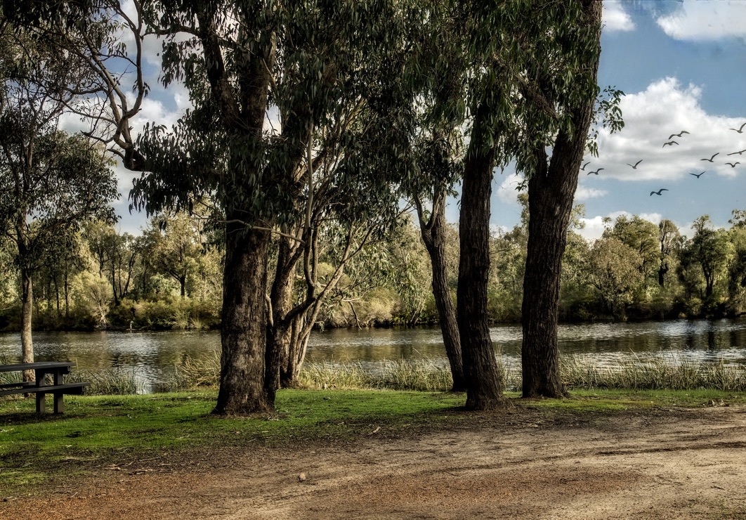 Collie River Walk