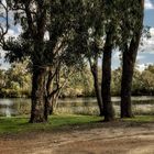 Collie River Walk