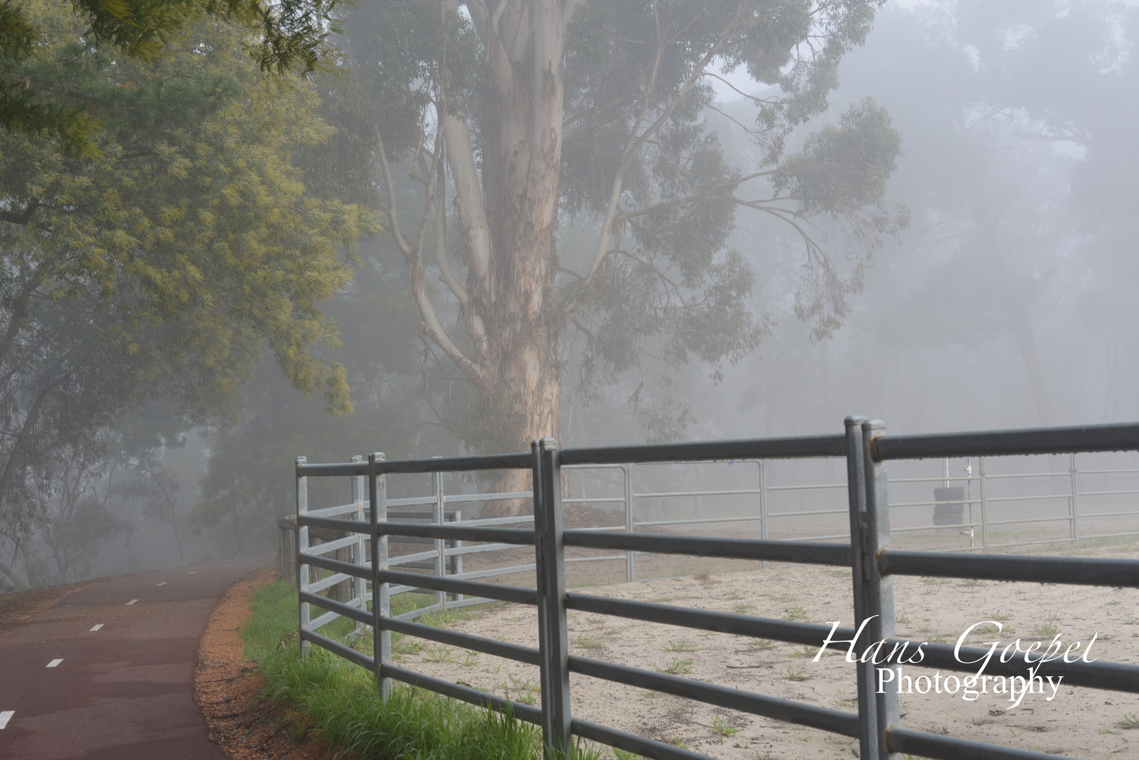 Collie Vally Reining Association 