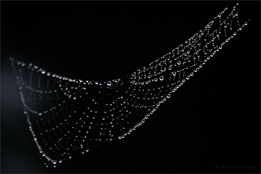 Collier auf Zeit