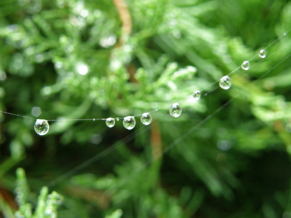 collier de gouttes de pluie