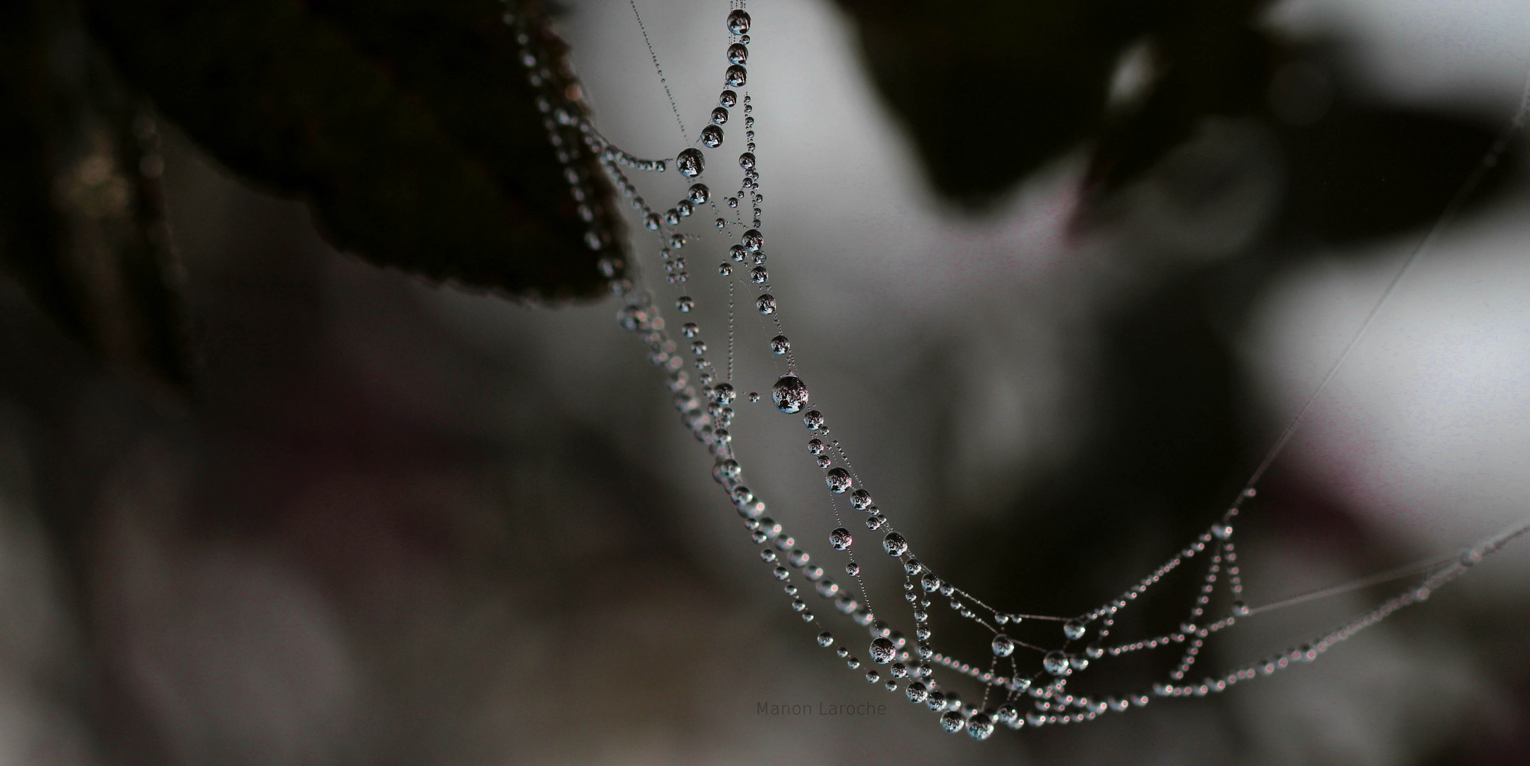 collier de perles